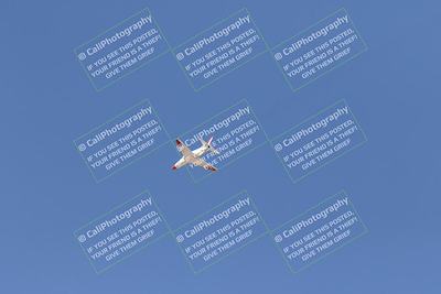 media/Oct-25-2025-Race Pace (Sat) [[47cce5476f]]/Fastest Verified/